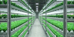 SL-SB8R5C-9H1AWW-Horticulture-Samsung-Bitki-Led-modul- 1ft 19.5~23.5V 1200~1600mA 26w 4400lm - 4