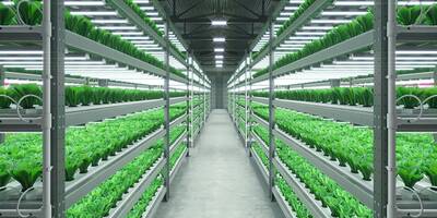SL-SB8R5C-9H1AWW-Horticulture-Samsung-Bitki-Led-modul- 1ft 19.5~23.5V 1200~1600mA 26w 4400lm - 4