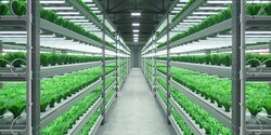 SL-B8R5C9H2AWW-Samsung Bitki Led-horticulture-led- 2ft 38.5~45.5V 1200~1600mA 52w 8800lm - 4