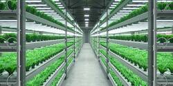 SL-B8R5C9H2AWW-Samsung Bitki Led-horticulture-led- 2ft 38.5~45.5V 1200~1600mA 52w 8800lm - 4